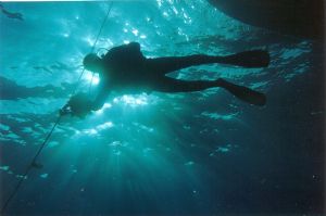 DECOMPRESSING; SOMBRERO ROCK EAST CARIBBEAN, CANON R2K W/... by JULI TRACY 